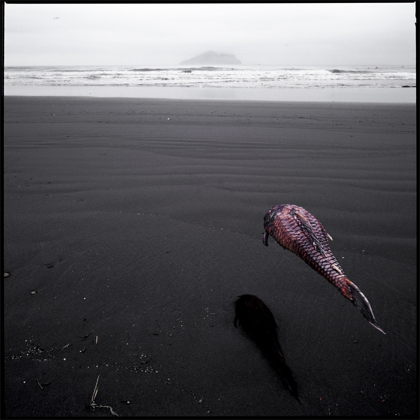 HUNG Shih-Tsung 洪世聰, Atterrissage 迫降